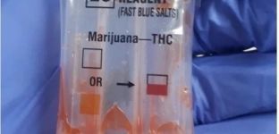 Kierował samochodem mimo zakazu, mając przy sobie narkotyki