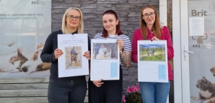 Kup kalendarz, wspieraj bezdomne psy i koty!