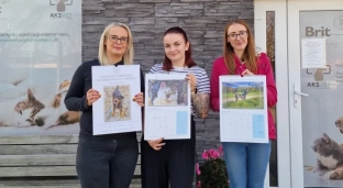 Kup kalendarz, wspieraj bezdomne psy i koty!