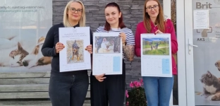 Kup kalendarz, wspieraj bezdomne psy i koty!