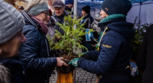 Elektroodpady oddajesz, choinkę dostajesz