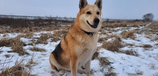 Balbinka od dwóch lat nie ma domu