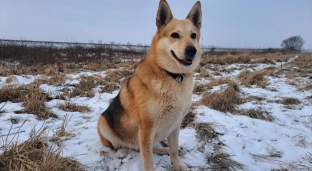 Balbinka od dwóch lat nie ma domu