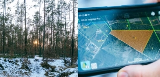 Planowana wycinka w Bystrzyckim lesie. Nadleśnictwo tłumaczy powody i zakres prac