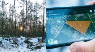 Planowana wycinka w Bystrzyckim lesie. Nadleśnictwo tłumaczy powody i zakres prac