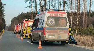 Samochód wypadł z drogi. Jedna osoba trafiła do szpitala