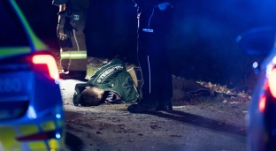 Pościg zakończył się w rowie, w aucie były narkotyki