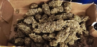 19-latek z Oławy zatrzymany. Policja zabezpieczyła ponad 215 gramów marihuany