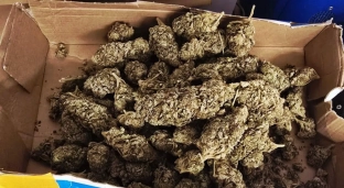 19-latek z Oławy zatrzymany. Policja zabezpieczyła ponad 215 gramów marihuany