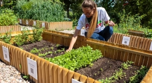 Powiat oławski: Znamy zwycięzców Funduszu Toyoty