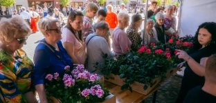Tysiąc sadzonek rozdanych. Długa kolejki pod ratuszem