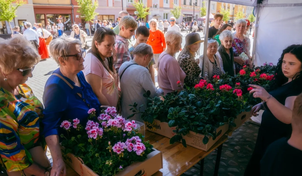 Tysiąc sadzonek rozdanych. Długa kolejki pod ratuszem