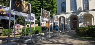Tradycje religijne Gwatemali. Barwna wystawa przed kościołem w Oławie