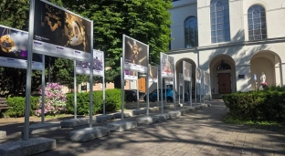 Tradycje religijne Gwatemali. Barwna wystawa przed kościołem w Oławie