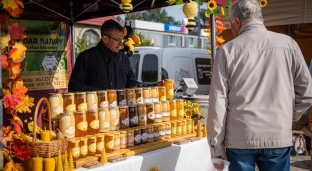 Powiatowy Piknik Pszczelarski w Oławie. Miody prosto z pasieki i atrakcje dla dzieci