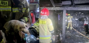 Strażacy uratowali małego psa z płonącego domu. Rodzina straciła wszystko - potrzebna pomoc!