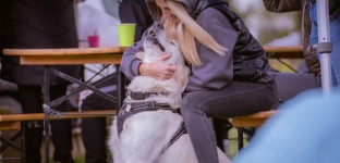 Zbliża się piknik z psem w Oławie