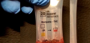 Rutynowa kontrola. Nieletni pasażer miał przy sobie narkotyki