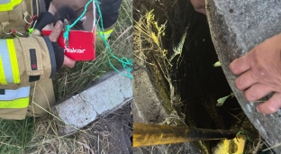 Kot uwięziony w studzience. Na ratunek ruszyli ochotnicy z Biskupic Oławskich