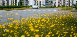 Na wiosnę znów będzie kolorowo. W mieście ruszyła akcja sadzenia roślin ozdobnych