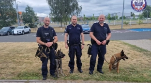 Policjanci z psami w jelczańskim zakładzie