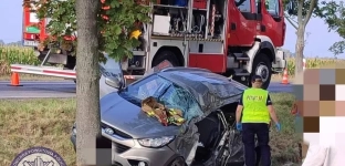 Zjechał z drogi i uderzył w drzewo. Nie żyje kierowca Hyundaia