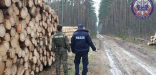 Oławscy policjanci i Straż Leśna kontrolują lasy przed świętami