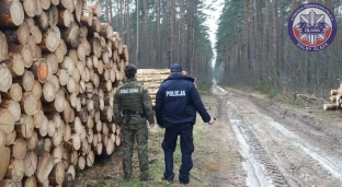 Oławscy policjanci i Straż Leśna kontrolują lasy przed świętami