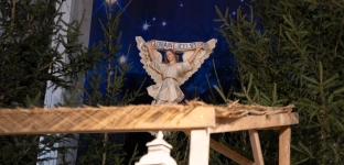 Pasterki w Oławie i Jelczu-Laskowicach. Sprawdź, gdzie i o której