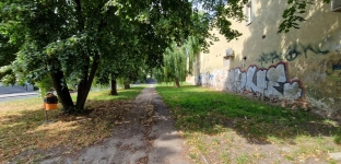 W Oławie powstanie Skwer Praw Kobiet
