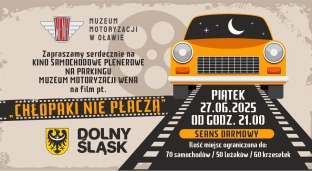 Kino jak za dawnych lat. Samochód, leżak i film pod gołym niebem