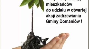 Tysiąc nowych drzew w Gminie Domaniów