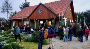 Choinki prosto z lasu. Nadleśnictwo Oława zaprasza