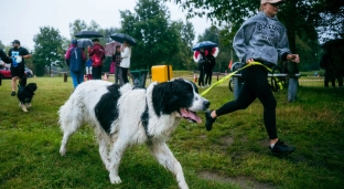 Futrzasta fiesta w schronisku! Przyjdź na rodzinny dzień otwarty