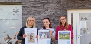 Kup kalendarz, wspieraj bezdomne psy i koty!