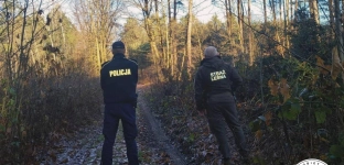 Policja i Straż Leśna kontrolują lasy. Wzmożone patrole przed świętami
