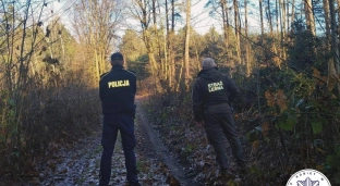 Policja i Straż Leśna kontrolują lasy. Wzmożone patrole przed świętami