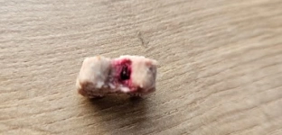 Przysmaki dla psów z trutką? Sołtys Janikowa apeluje!