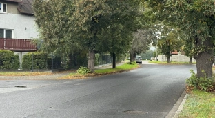 Apel o nowe przejście dla pieszych na ulicy Lipowej