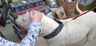 Kawiarenka charytatywna i konkretna pomoc. Uczniowie nie zawiedli