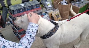 Kawiarenka charytatywna i konkretna pomoc. Uczniowie nie zawiedli