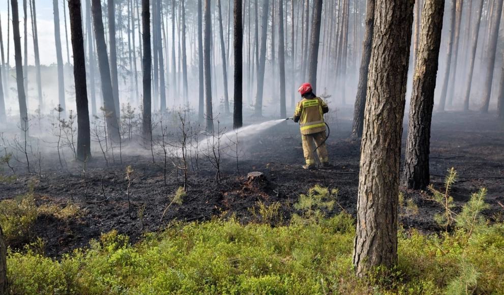 Niebezpieczna seria pożarów. Służby apelują o rozwagę