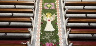 Wspólnymi siłami stworzyli wyjątkowy dywan kwietny