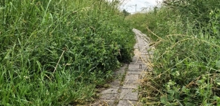 Problem z koszeniem wałów w Oławie. Kolejny apel DO Wód Polskich