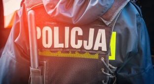 Kradzież i nielegalny pobyt. 38-letni obywatel Gruzji zatrzymany