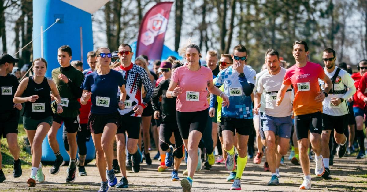 Standio 4 Pory Roku: drugi etap już w czerwcu - Olawa24.pl