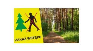 Nadleśnictwo informuje: Zakaz wstępu do lasów!