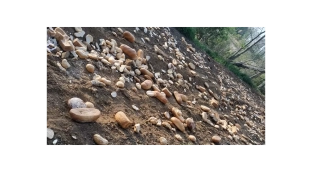 Nowy Dwór: Chleb i bułki na jednej ze ścieżek w lesie