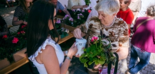 Rozdali sadzonki i zebrali sporą sumę dla oławskiej Tęczy