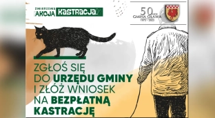 Gmina Oława z ważną akcją kastracją!